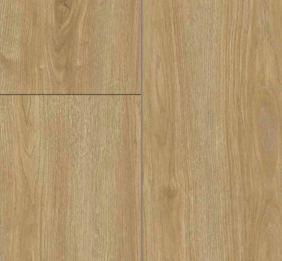 Exquisite Plus colour 6