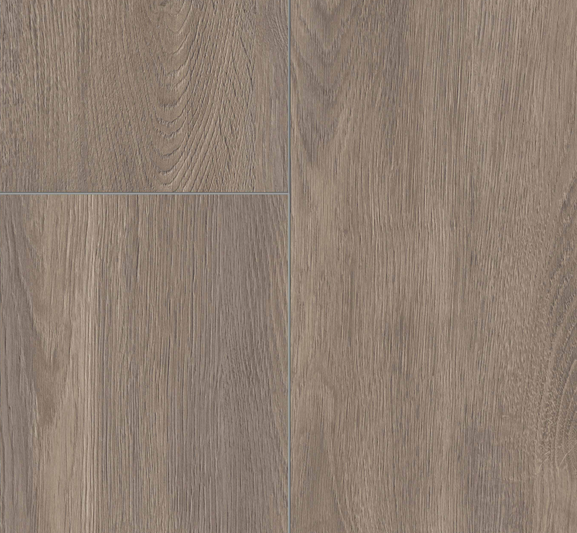 Exquisite Plus colour 7