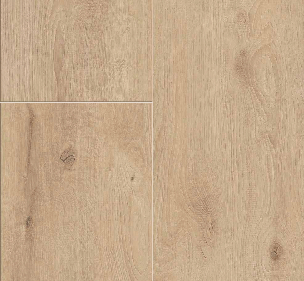 Exquisite Plus colour 8