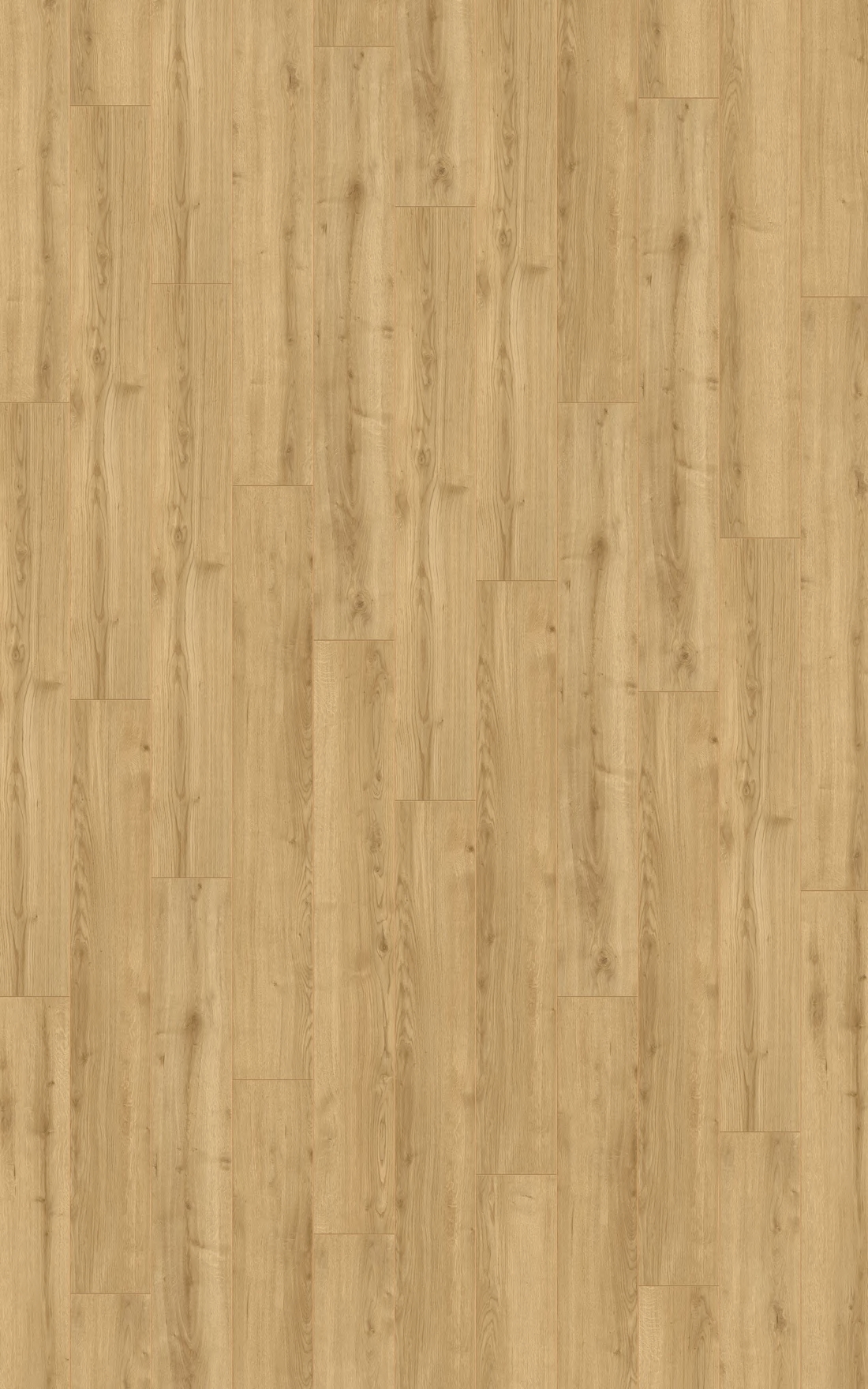 Kiwi Wood colour 1