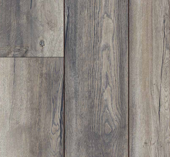 Exquisite Plus colour 2