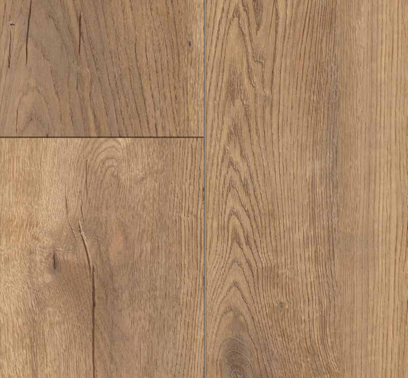 Exquisite Plus colour 3