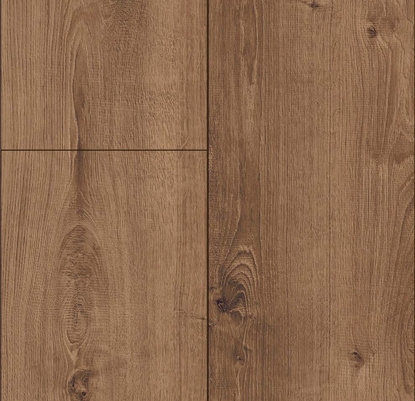 Exquisite Plus colour 4