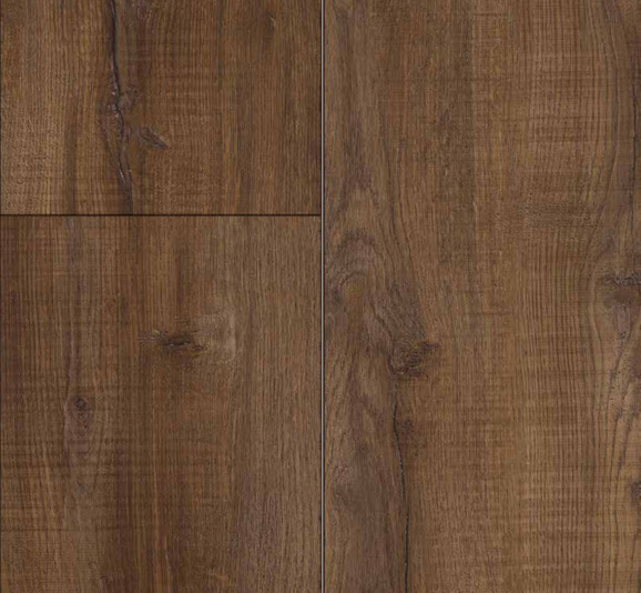 Exquisite Plus colour 5